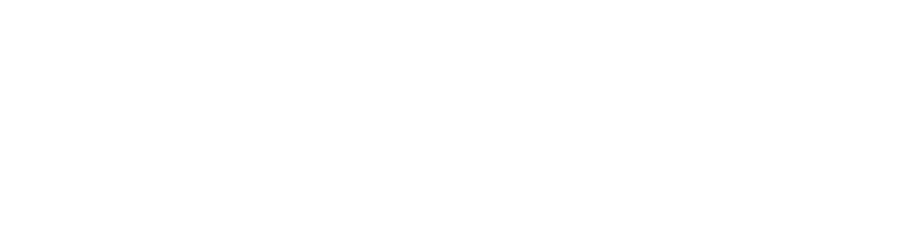 the-inventory